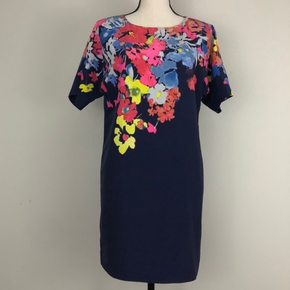 LOFT Dresses & Skirts - LOFT Ann Taylor Blue Pink Floral Lined Dress NWOT